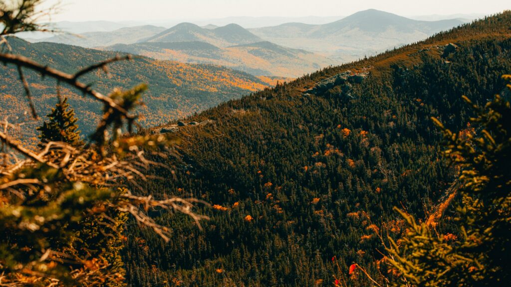 The White Mountains (NH) is one of the best fall daytrips from Boston with kids
