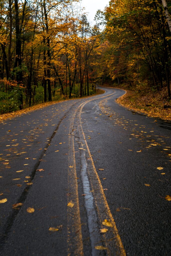 Fall day trips from Boston with kids are ideal to admire fall foliage