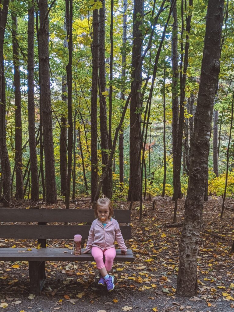 The Sugarbush Trail is one of the best hiking trails in Gatineau Park for families