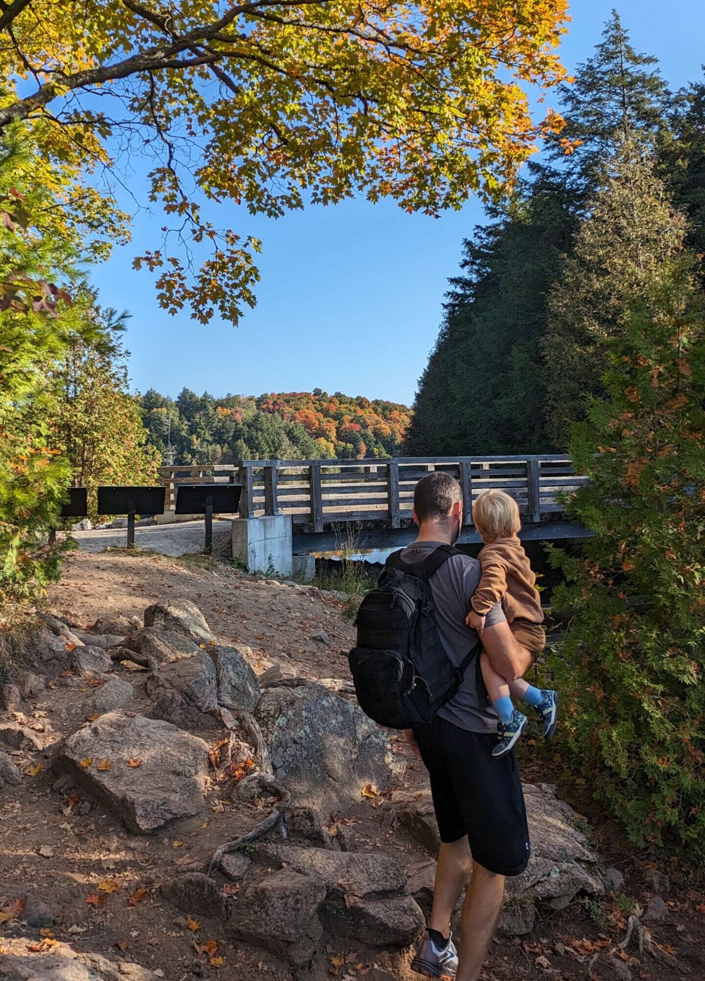 Hiking essentials for kids - what you should pack for family hikes