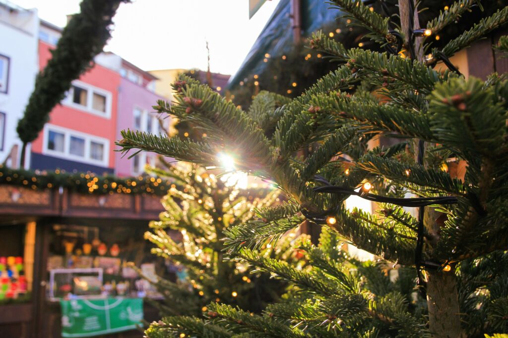 Sun rays passing through branches of a natural Christmas tree in front of a kiosk at Cologne's Christmas market. 