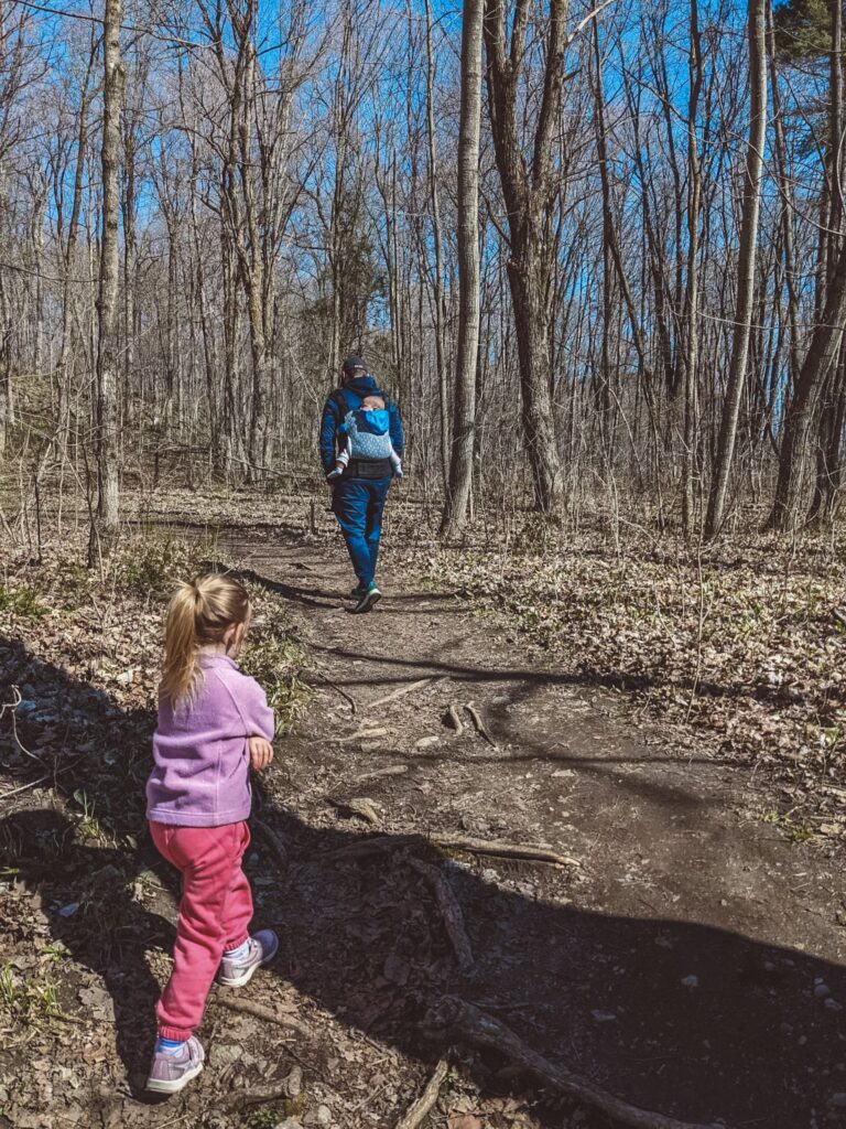 The are many kid-friendly trails in Gatineau park - here is the Sugarbush trail in Chelsea