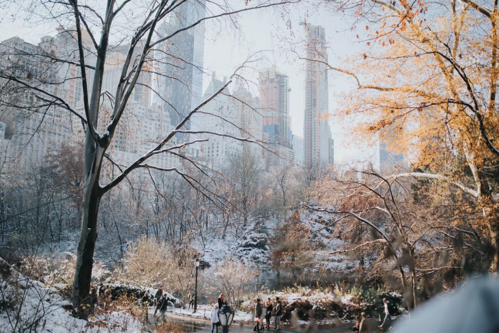 Visitez Central Park à New York à Noël avec des enfants