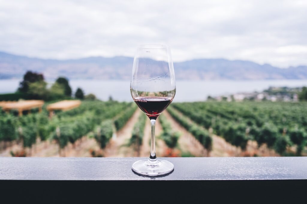 Visiter les vignobles dans la vallée du Douro est une excellente activité familiale - la vallée du Douro est l'une des meilleures excursions d'une journée à partir de Porto avec des enfants