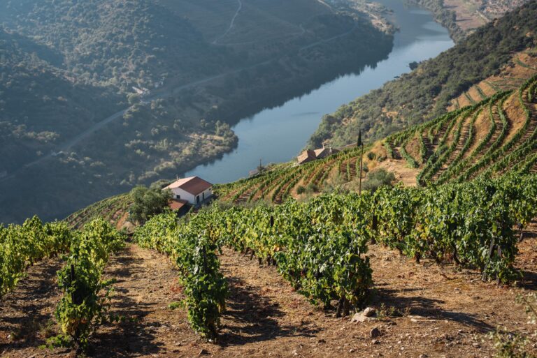 La vallée du Douro est l'une des meilleures excursions d'une journée à partir de Porto avec des enfants