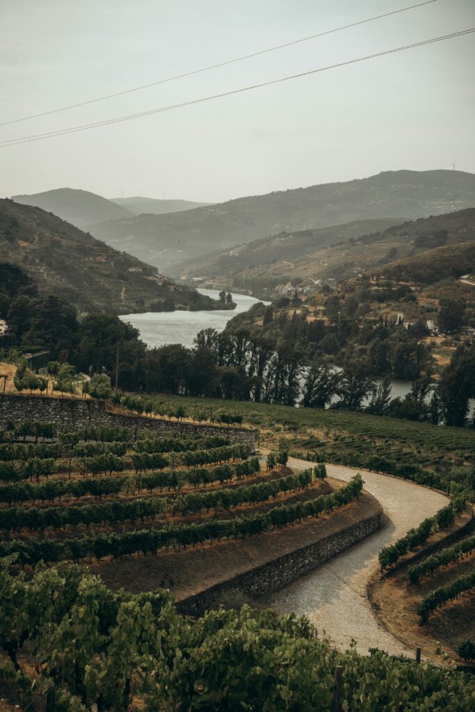 excursions d'une journée à partir de Porto avec des enfants : la vallée du Douro - une excellente destination familiale au Portugal