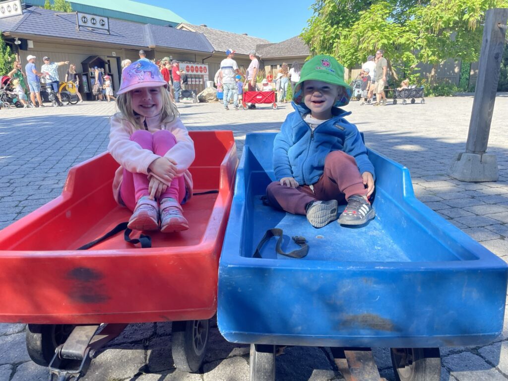 Il est facile de louer une poussette ou un chariot pour la journée au Zoo de Granby