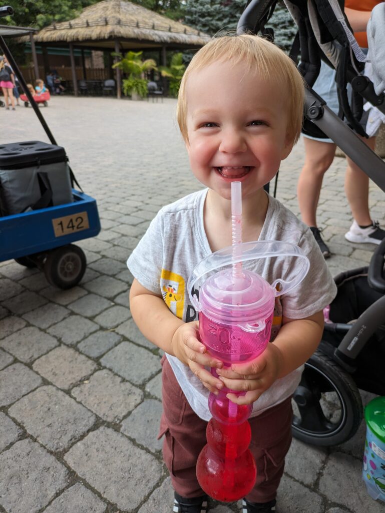 Un tout-petit qui boit une boisson rafraîchissante au Zoo de Granby