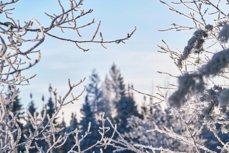 5 meilleures villes à visiter en hiver au Québec en famille