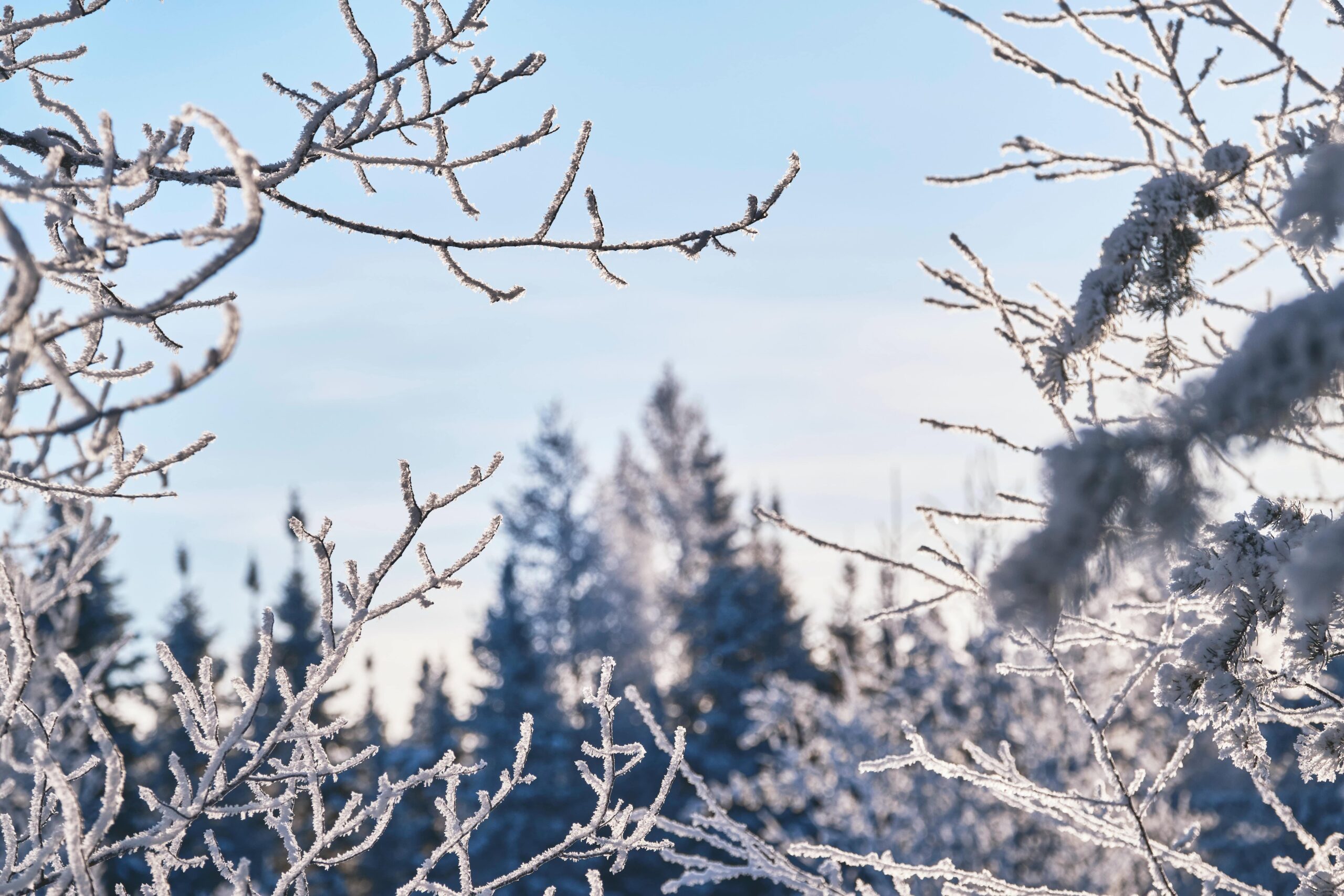 5 meilleures villes à visiter en hiver au Québec en famille