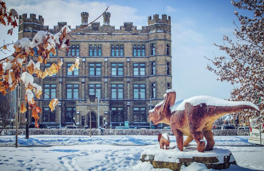 Canadian Museum of Nature is one of the best museums in Ottawa