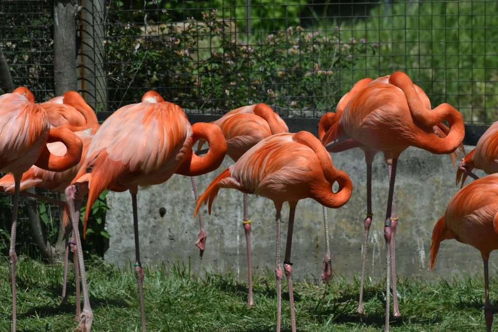If you are planning a family trip to Toronto, add a strop to the Toronto Zoo to your Toronto itinerary.