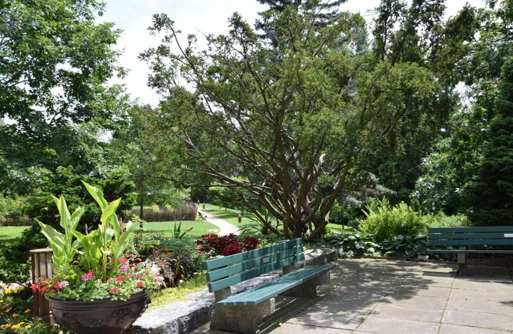 High Park should be the Toronto itinerary of families seeking a break from the city's action.
