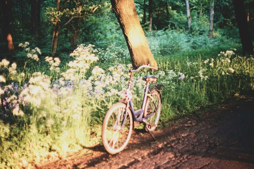 Visting the Amsterdam Forest is one of the best things to do with kids in Amsterdam - a great spot for a family picnic!