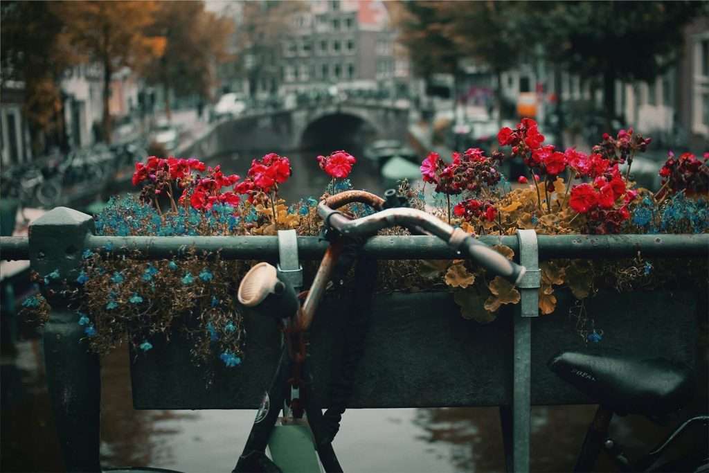 Amsterdam with kids