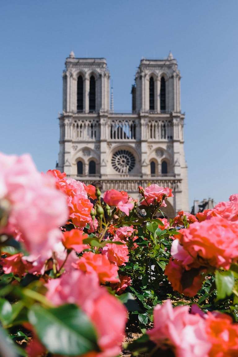 Paris in the spring - Notre-Dame Cathedral in Paris in April