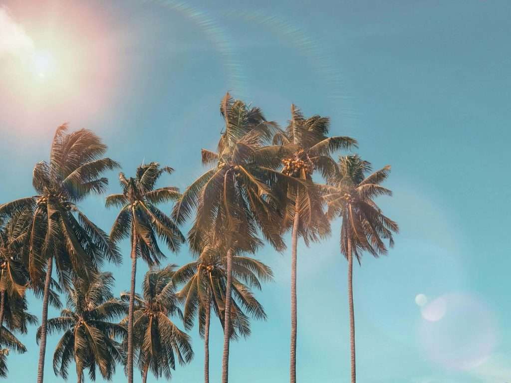 Les familles adorent voyager vers des destinations ensoleillées pour la semaine de relâche