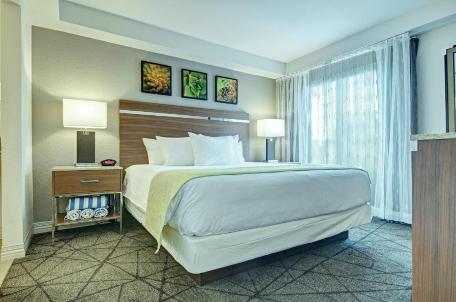 Looking for affordable hotels for families in Las Vegas? Consider the Desert Rose Resort!