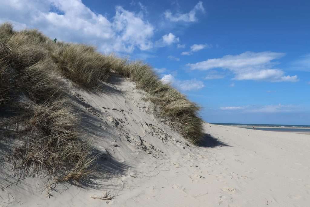 Texel Island is perfect for families looking for a mix of nature and beach fun.
