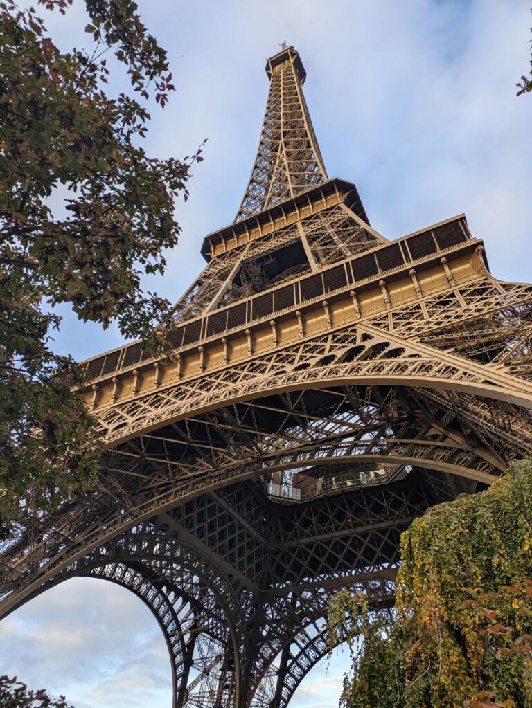 Eiffel Tower seen from the ground with tree branches on the left.