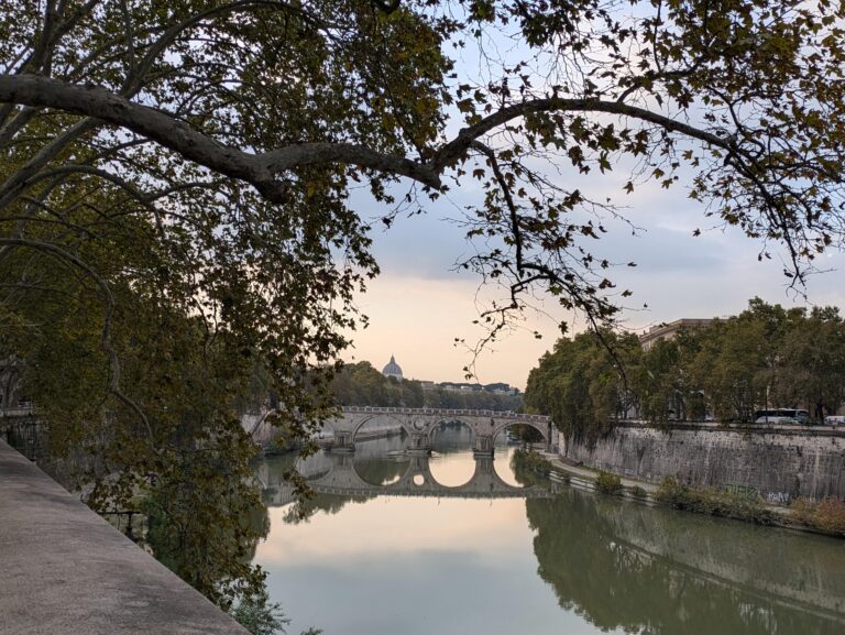 Fall leaves on a tree by the Tiber River in Rome in November.