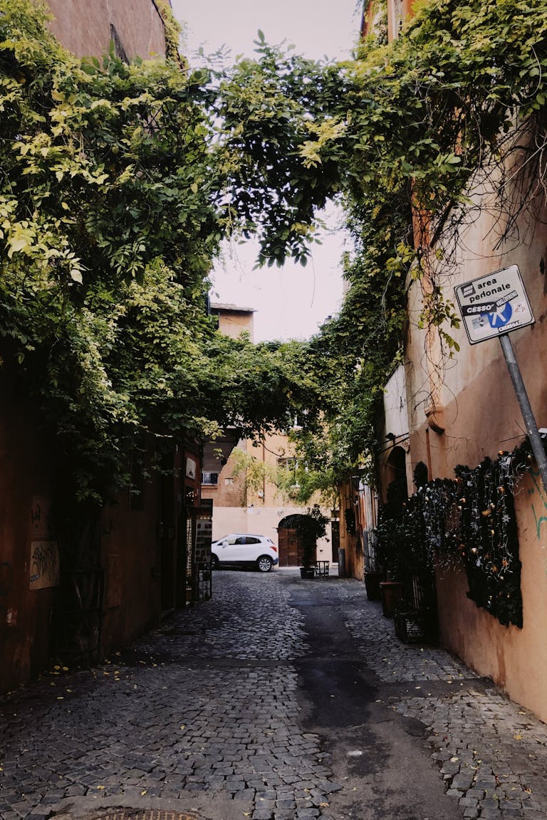 Peaceful alley in Trastevere, Rome with lush greenery and cobblestone path.