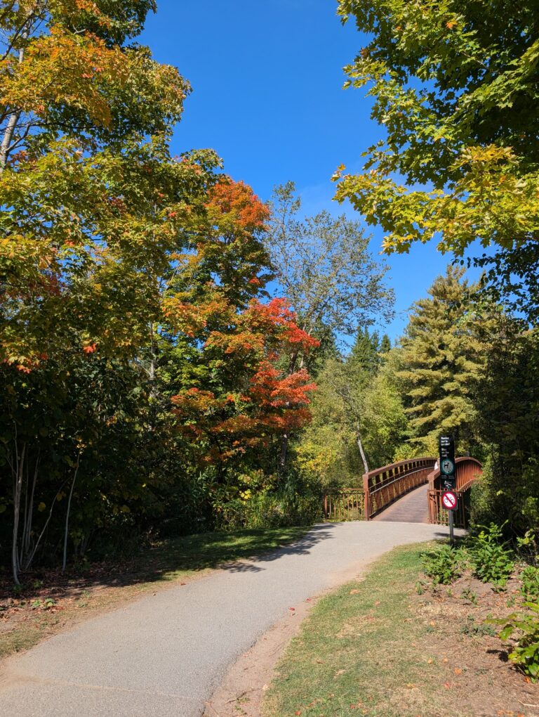 A bridge surrounded by colourful trees in the fall at the entrance of the Sugarbush trail, the most kid-friendly Gatineau park hiking trail.