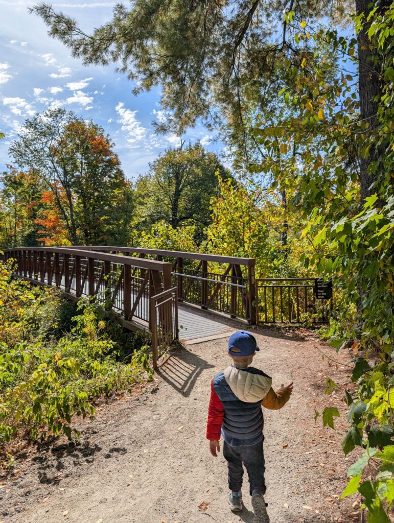 A small kid walking towards a bridge surronded by colorful trees in the fall on the Sugarbush trail in Gatineau park.