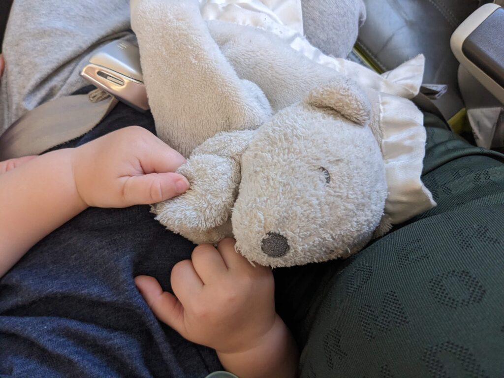 Mains d'un tout-petit qui tiennent un toutou en peluche dans l'avion.